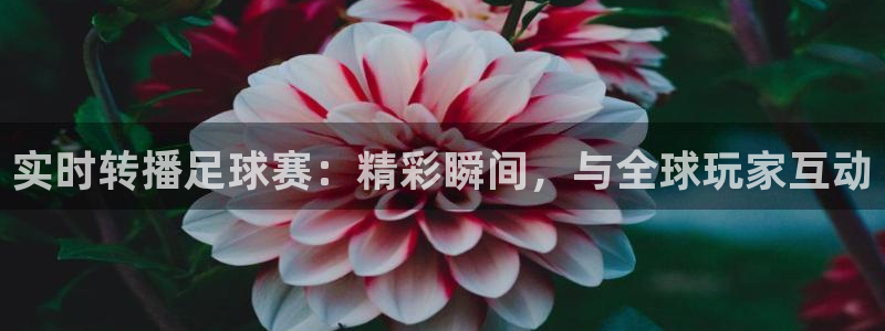 pg巅峰国际苹果版下载