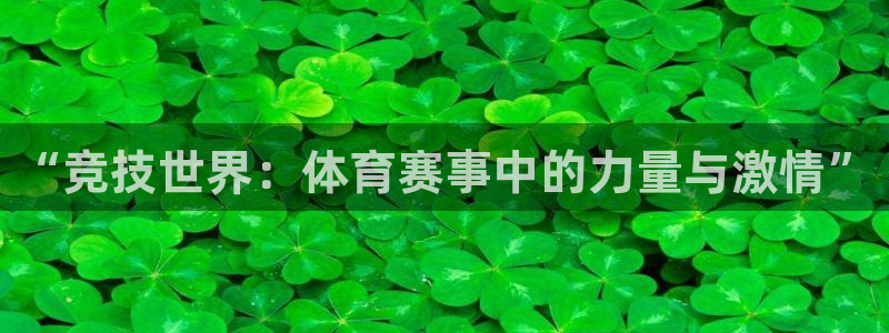 决胜巅峰国际版下载