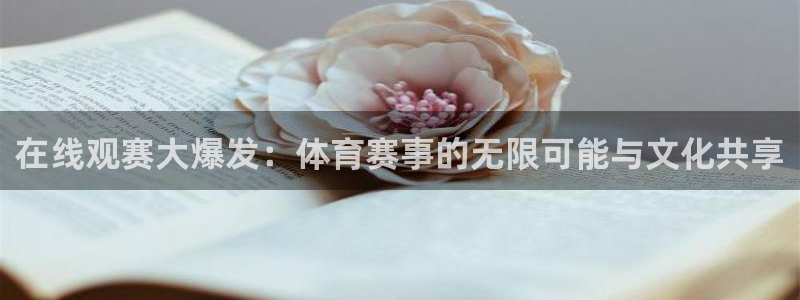 决胜巅峰国际赛事