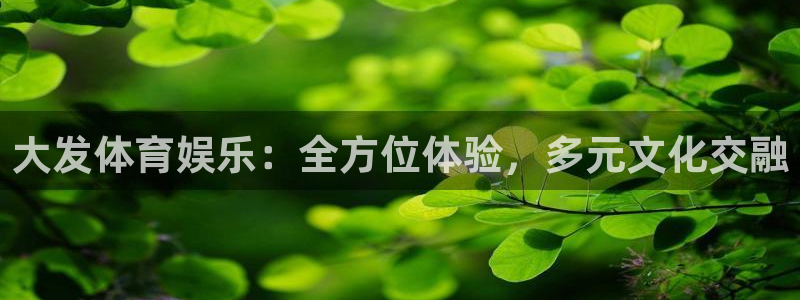 巅峰国际