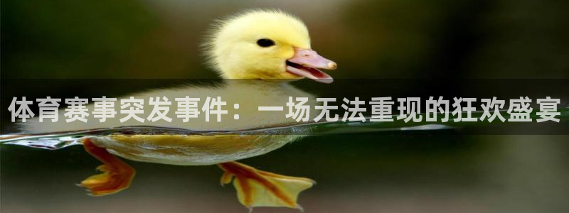 巅峰国际app官网下载