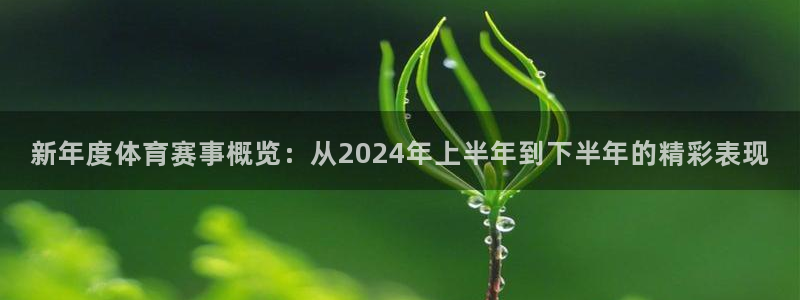 巅峰国际v6.网页下载.org
