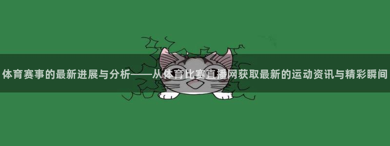 巅峰国际ng大舞台