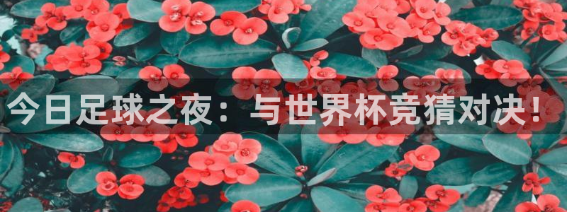 巅峰国际pg下载入口
