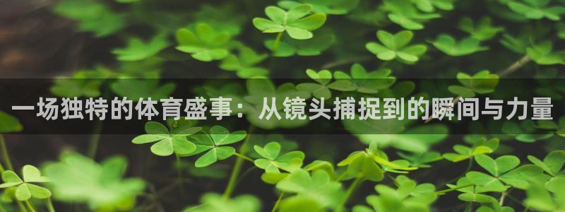 决胜巅峰国际下载入口