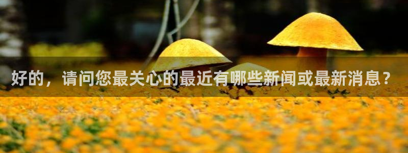 巅峰国际平台靠谱吗