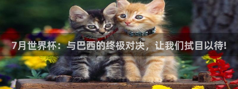 巅峰国际pg下载app怎么用