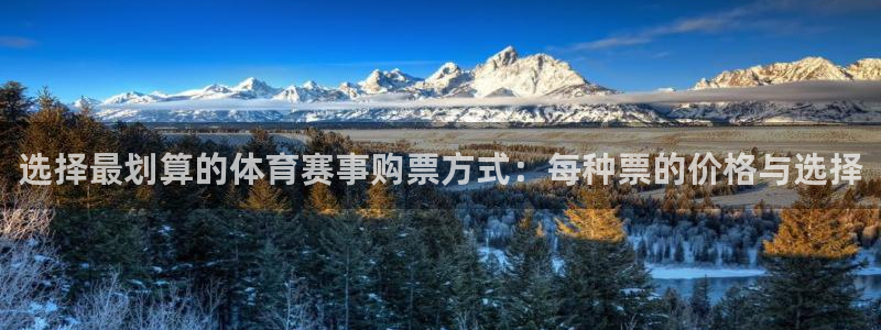 巅峰国际app下载