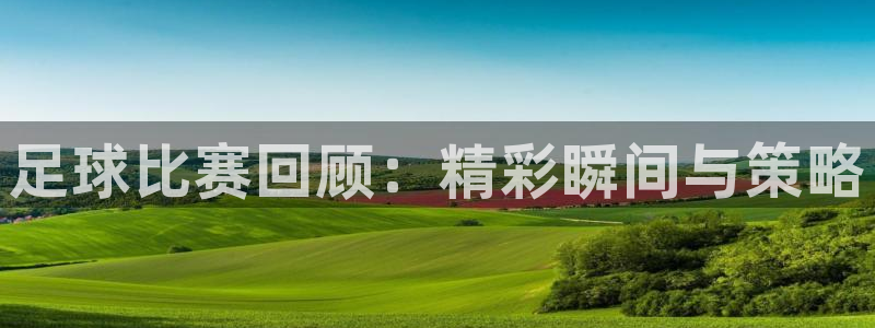 巅峰国际app网站下载