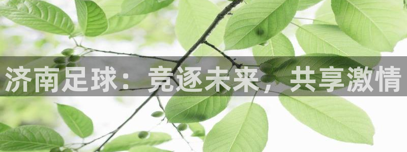 日盛巅峰国际