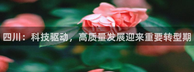 巅峰国际app登录入口