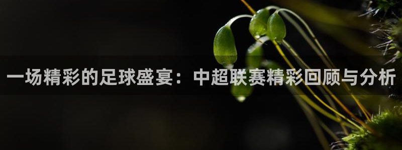 巅峰国际pg下载