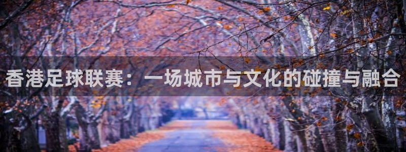 巅峰国际软件