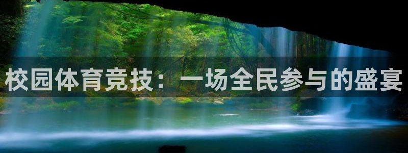 巅峰国际电子游戏平台