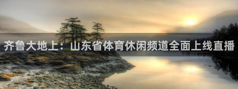 巅峰国际位置