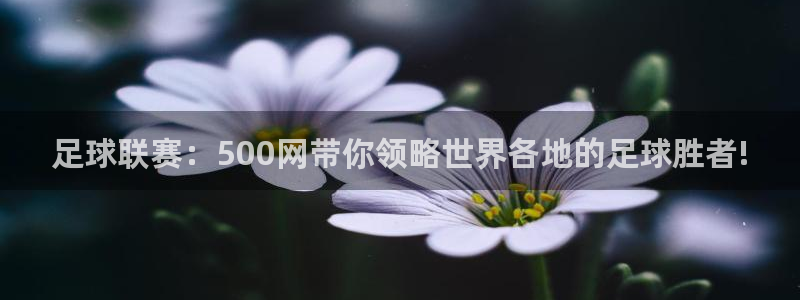 巅峰国际链接下载