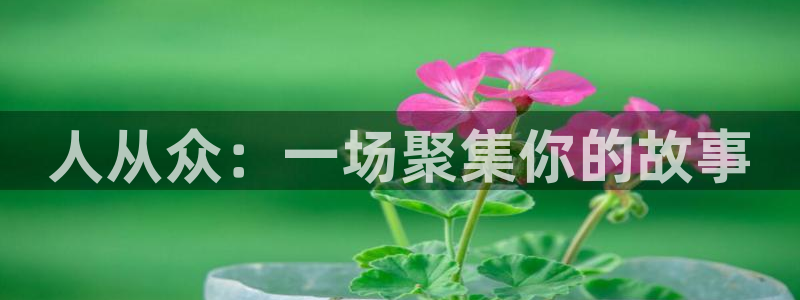 巅峰国际地址