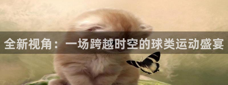 巅峰国际pg登录入口