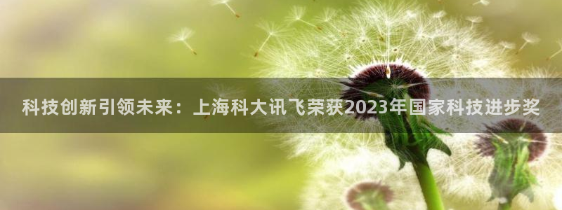 巅峰国际app下载