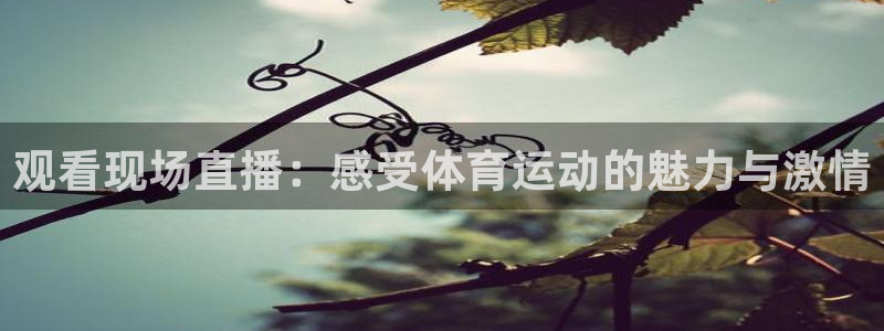 pg巅峰国际com