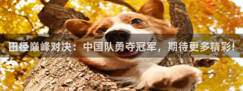 巅峰国际电子娱乐游戏官网
