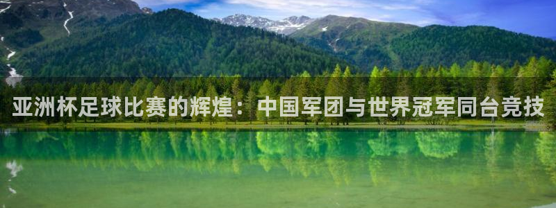 pg巅峰国际com