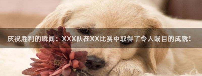 巅峰国际app