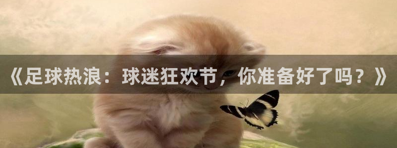 邢台巅峰国际房子怎么样