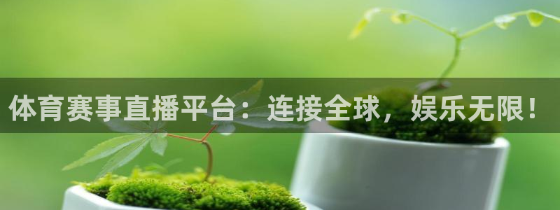 巅峰国际app下载链接