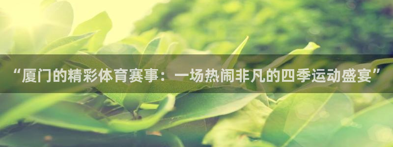巅峰国际最新版下载入口官网